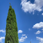 Photo n°4 de l'avis de Ethan.u fait le 14/07/2023 à 13:19 sur le  Vitaleta Gourmet à San Quirico d'Orcia