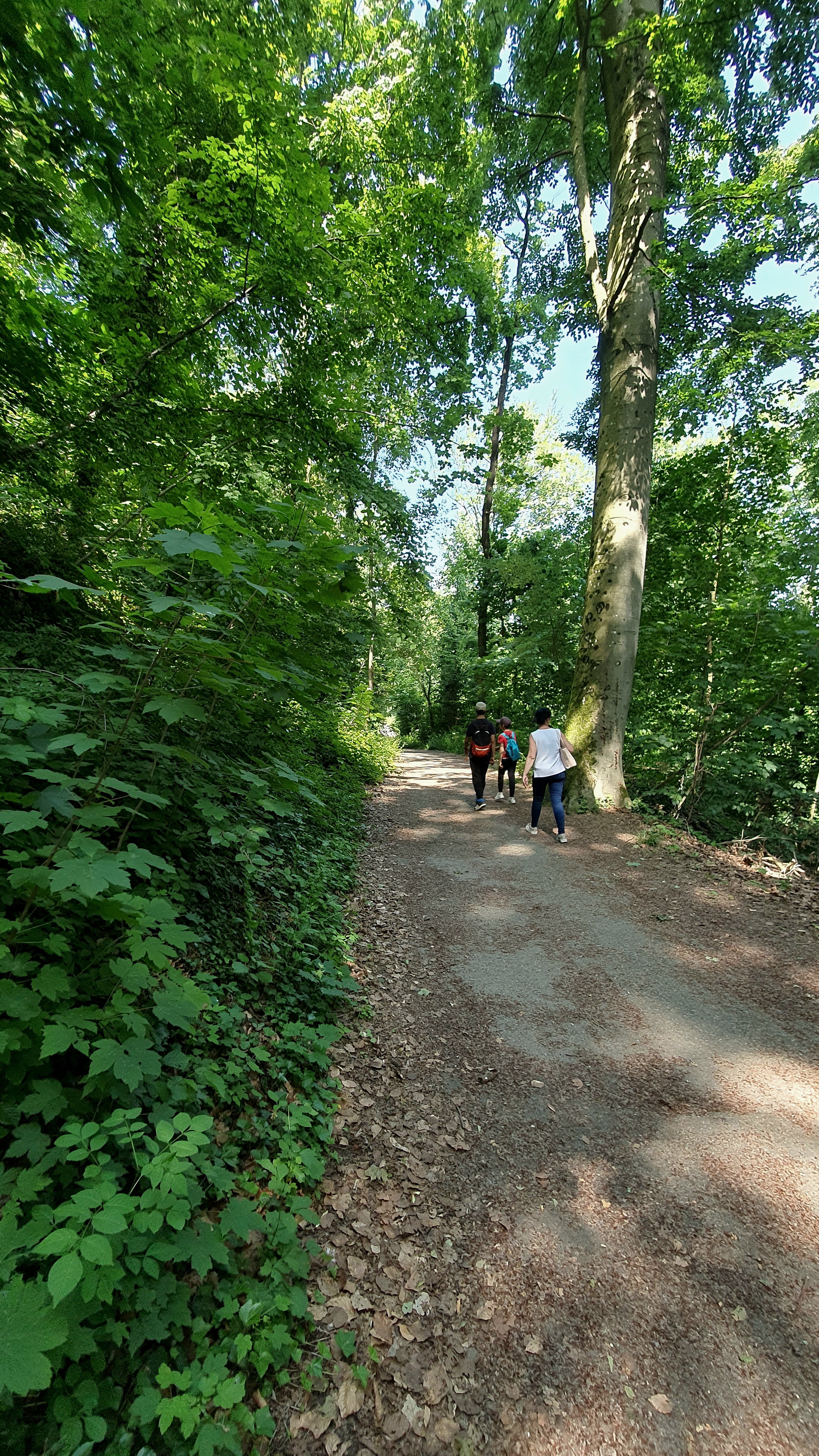 Photo n° 15 de l'avis de ANG.I fait le 31/05/2023 à 15:24