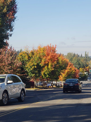 Car Dealer «Lee Johnson Auto Family», reviews and photos, 11845 NE 85th St, Kirkland, WA 98033, USA