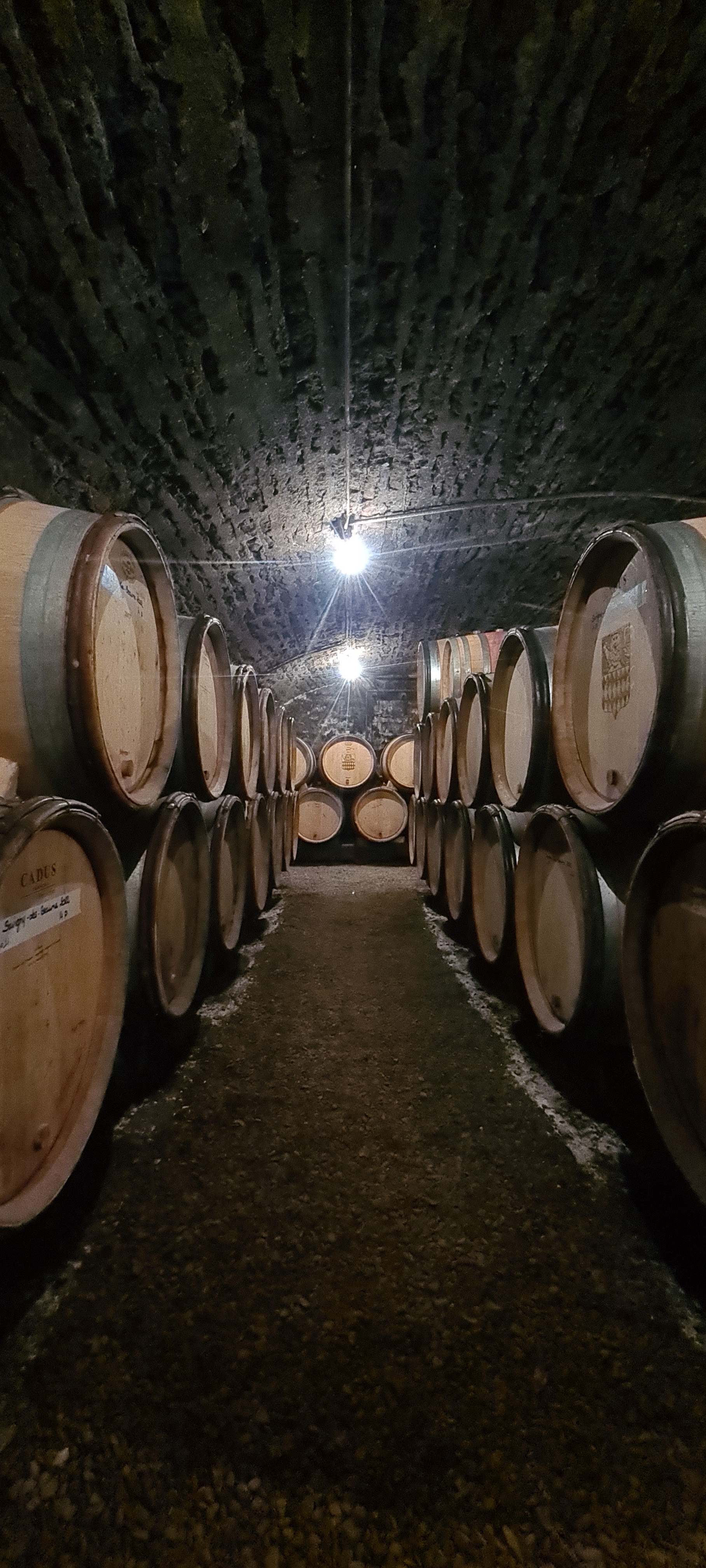 Photo n° 1 de l'avis de Emilien.u fait le 19/03/2023 à 13:15