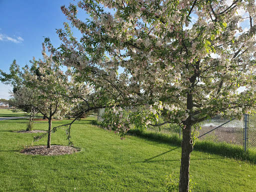 Park «Randall Oaks Park», reviews and photos, 750 Randall Rd, West Dundee, IL 60118, USA