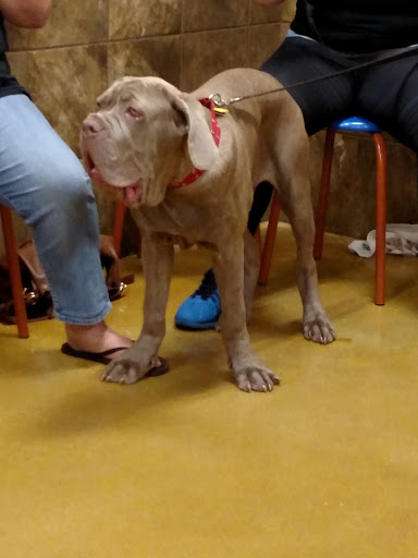 Pet Supply Store «PetSmart», reviews and photos, 131 Town Center Rd, King of Prussia, PA 19406, USA