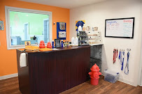 Your Dog's Gym - Photo 7 - Car repair in Eau Claire, WI, Eau Claire