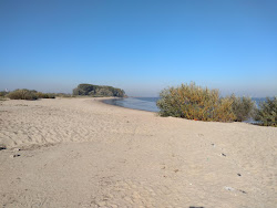 Krautsand strand'in fotoğrafı - rahatlamayı sevenler arasında popüler bir yer