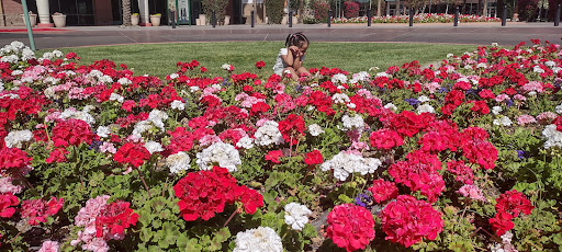 Shopping Mall «Mesa Grand Shopping Center», reviews and photos, 1955 S Stapley Dr, Mesa, AZ 85204, USA