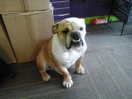 Tobacco Shop «Blown Glass Gifts», reviews and photos, 236 E Bridge St Unit A, Brighton, CO 80601, USA