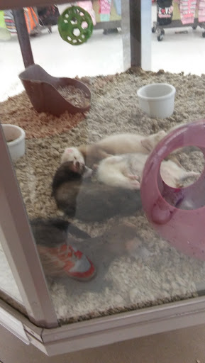 Pet Supply Store «Petco Animal Supplies», reviews and photos, 1524 Old Country Rd, Riverhead, NY 11901, USA