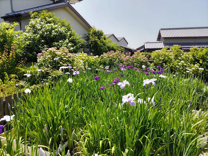 住友菖蒲園