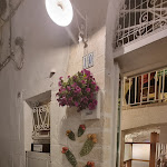 Photo n°10 de l'avis de marco.a fait le 19/07/2023 à 13:48 sur le  Trattoria Sapere E Sapori à Ostuni