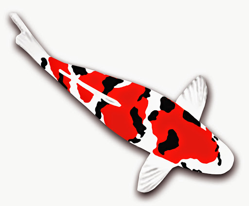 Lausitz - Koi Bernhard Wierick unter Lohsa, 