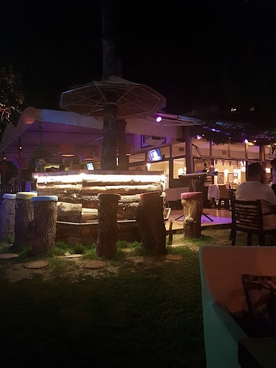 Photos of Lounge Bar BIS