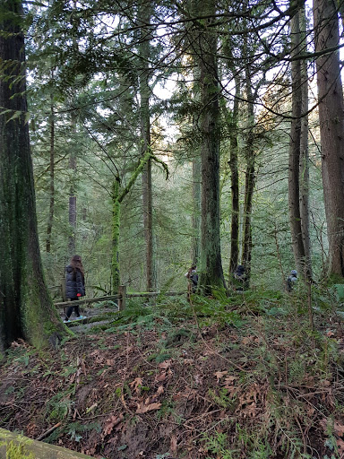 State Park «Willamette Stone State Heritage Site», reviews and photos, 253 NW Skyline Blvd, Portland, OR 97210, USA