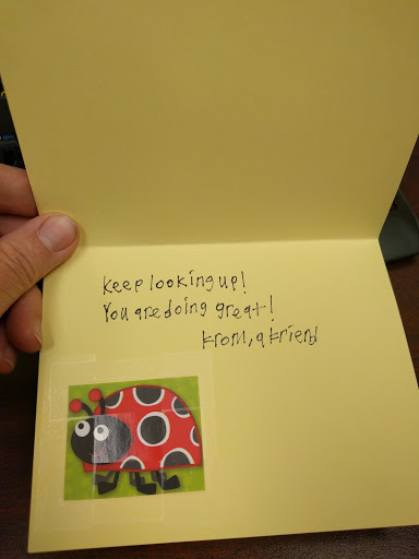 Food Bank «Bountiful Food Pantry», reviews and photos