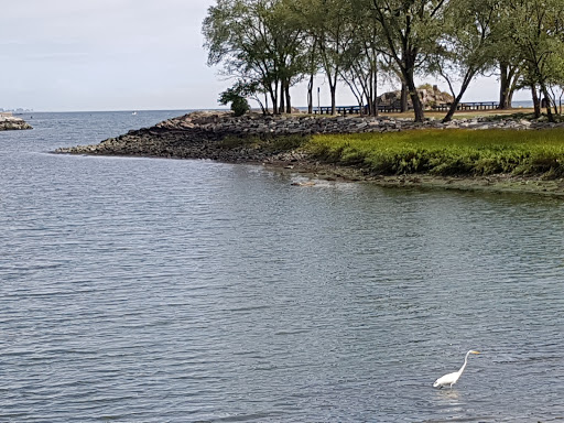 Park «Glen Island Park», reviews and photos, Weyman Ave, New Rochelle, NY 10805, USA