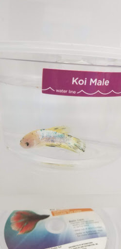 Pet Supply Store «Petco Animal Supplies», reviews and photos, 859 Kings Creek Dr, Tupelo, MS 38804, USA