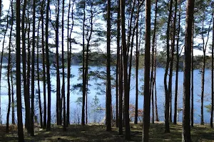 Jezioro Radziszewskie image