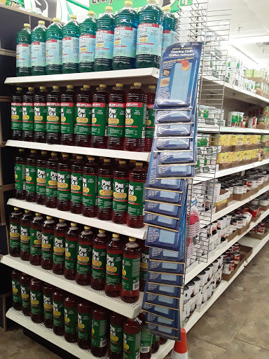 Dollar Store «Dollar Tree», reviews and photos, 2241 Citrus Blvd #107, Leesburg, FL 34748, USA