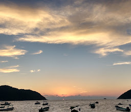 El Tiburón del Marqués Restaurant Bar photo