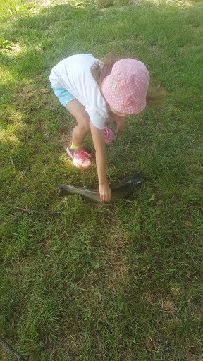 Fishing Store «Indian Creek Fishing & Fire Arms», reviews and photos, 3479 Mango Dr, Danielsville, PA 18038, USA