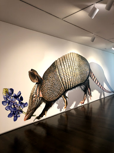 Art Museum «Pearl Fincher Museum of Fine Arts», reviews and photos, 6815 Cypresswood Dr, Spring, TX 77379, USA