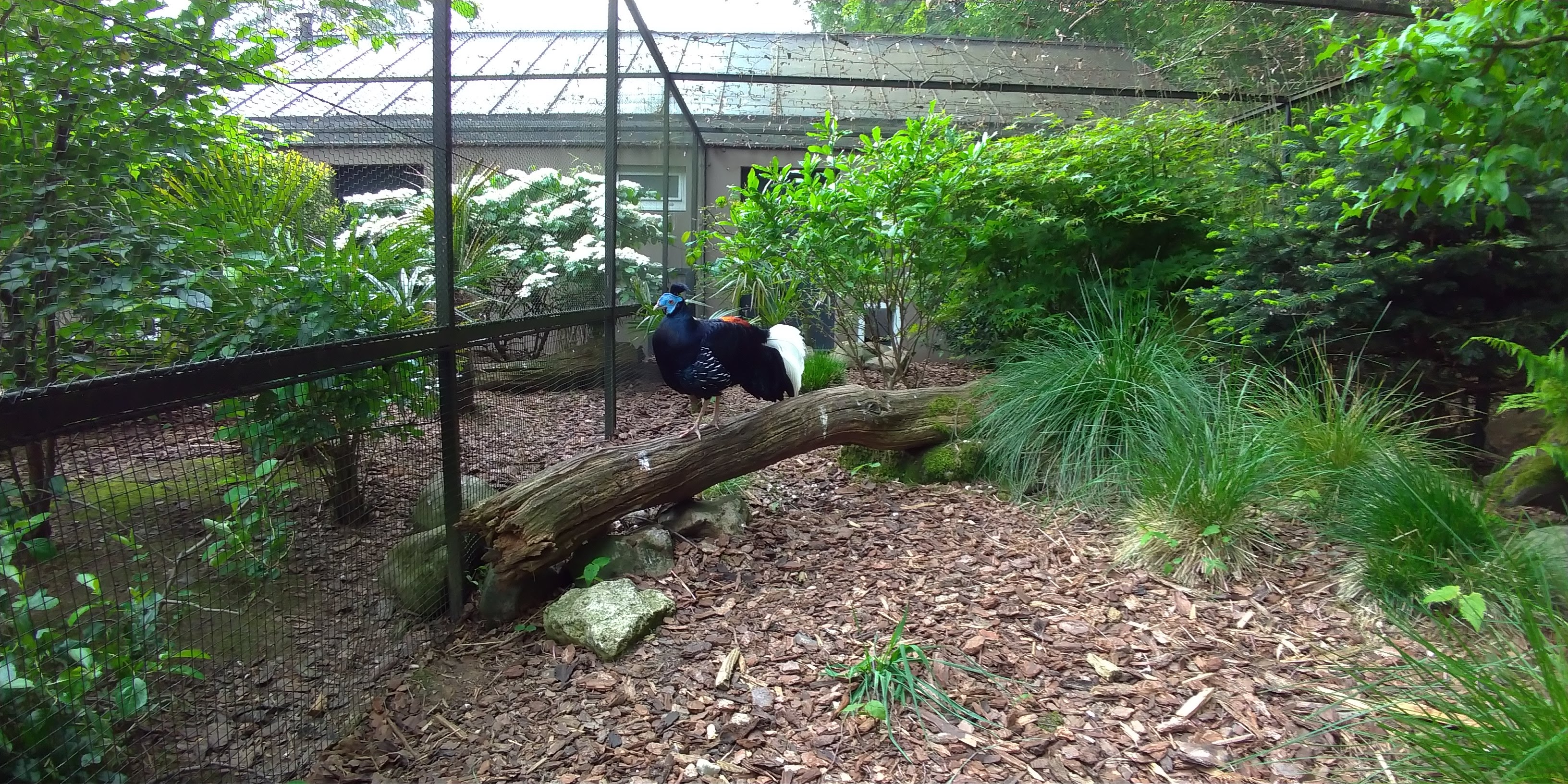 Photo n° 6 de l'avis de Maxime.E fait le 19/05/2019 à 20:15