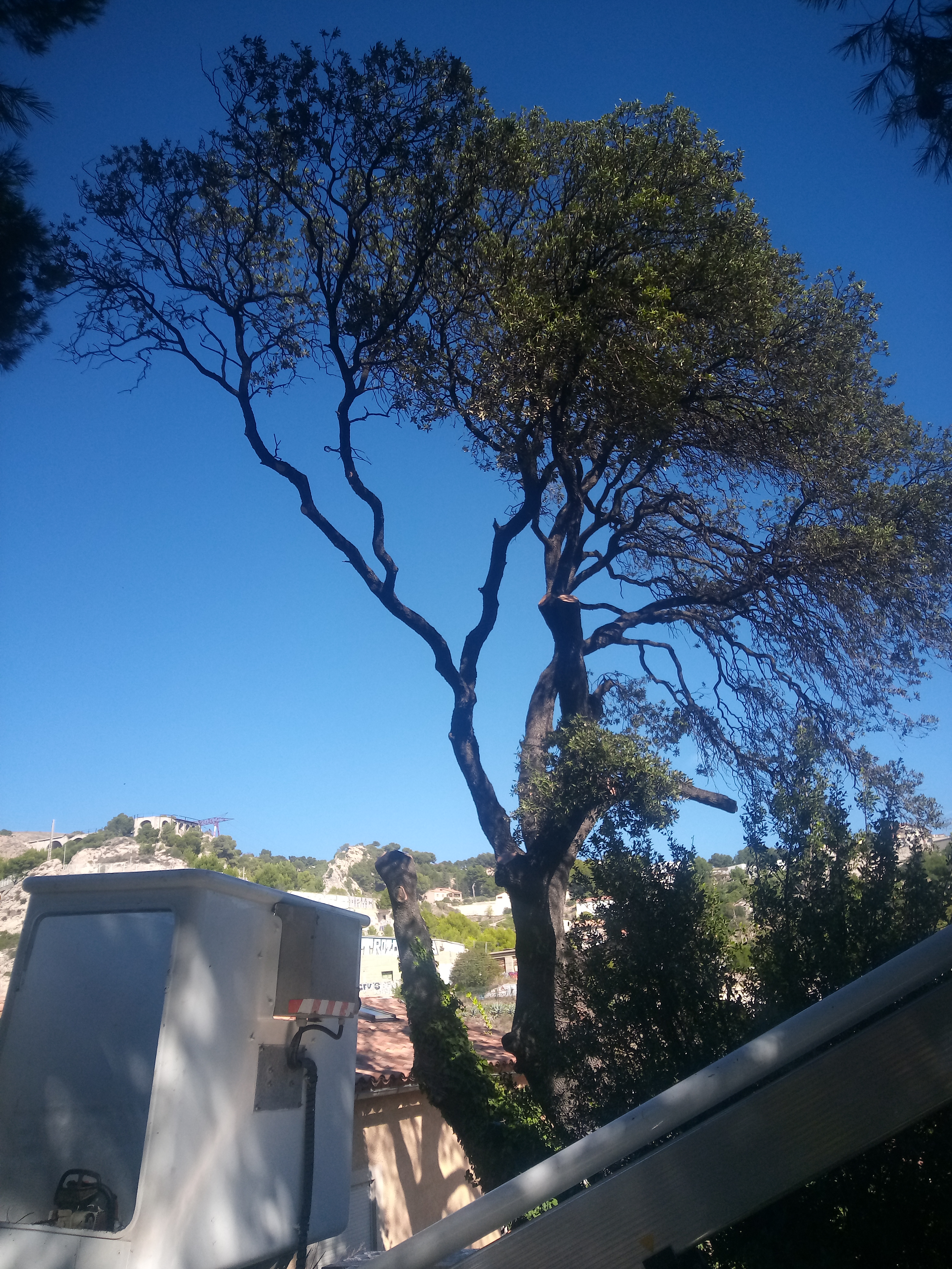 Photo n° 1 de l'avis de bob.a fait le 12/10/2021 à 12:08