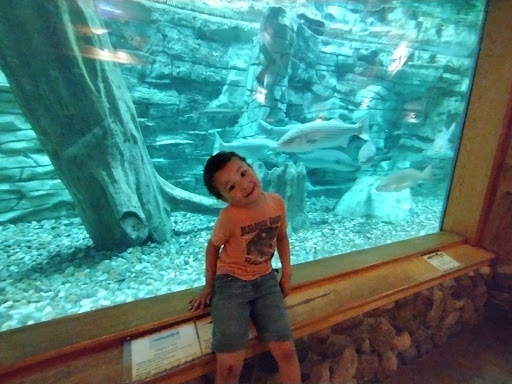 Sporting Goods Store «Bass Pro Shops Base Camp», reviews and photos, 2500 E Kearney St, Springfield, MO 65803, USA