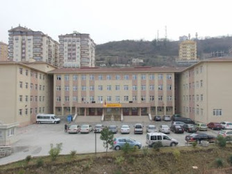 Yavuz Sultan Selim Anadolu Lisesi