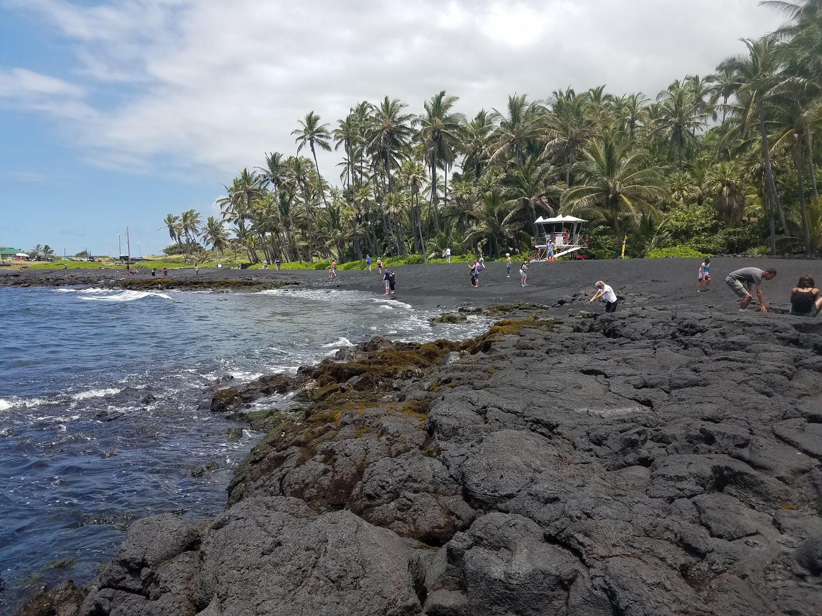 Foto di Punalu'u Beach - luogo popolare tra gli intenditori del relax