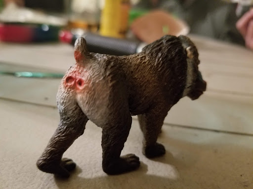 Thrift Store «Green Bay West Goodwill Retail Store & Training Center», reviews and photos