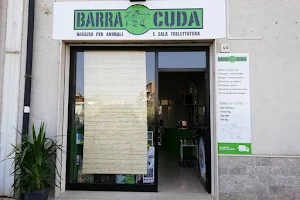 Barracuda Store Caltagirone image