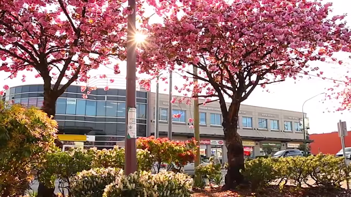 No Fear Counselling - Burnaby Square