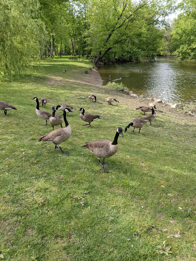 Park «Water Works Park», reviews and photos, 2025 Munroe Falls Ave, Cuyahoga Falls, OH 44221, USA