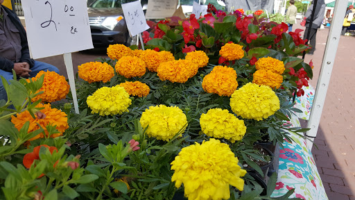 Market «Indianapolis City Market», reviews and photos, 222 E Market St, Indianapolis, IN 46204, USA