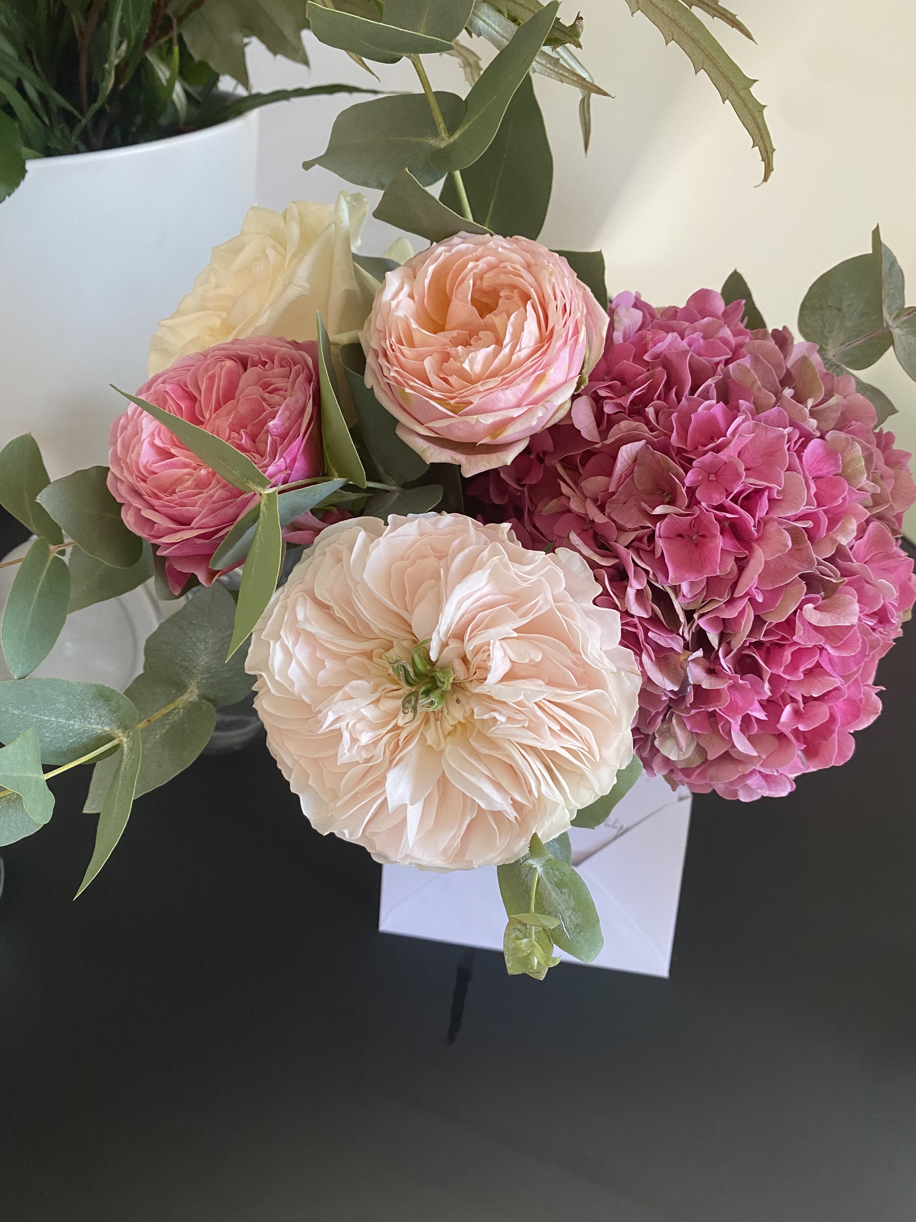 Photo n° 2 de l'avis de flore.e fait le 07/10/2023 à 17:05