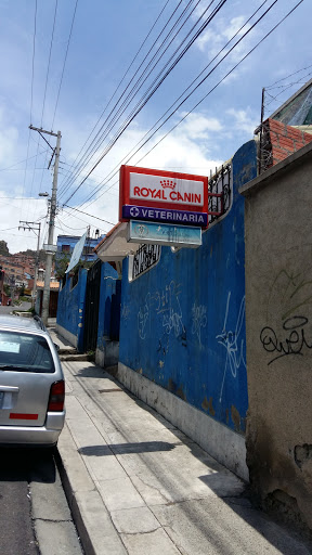 Clinicas veterinarias 24 horas La Paz