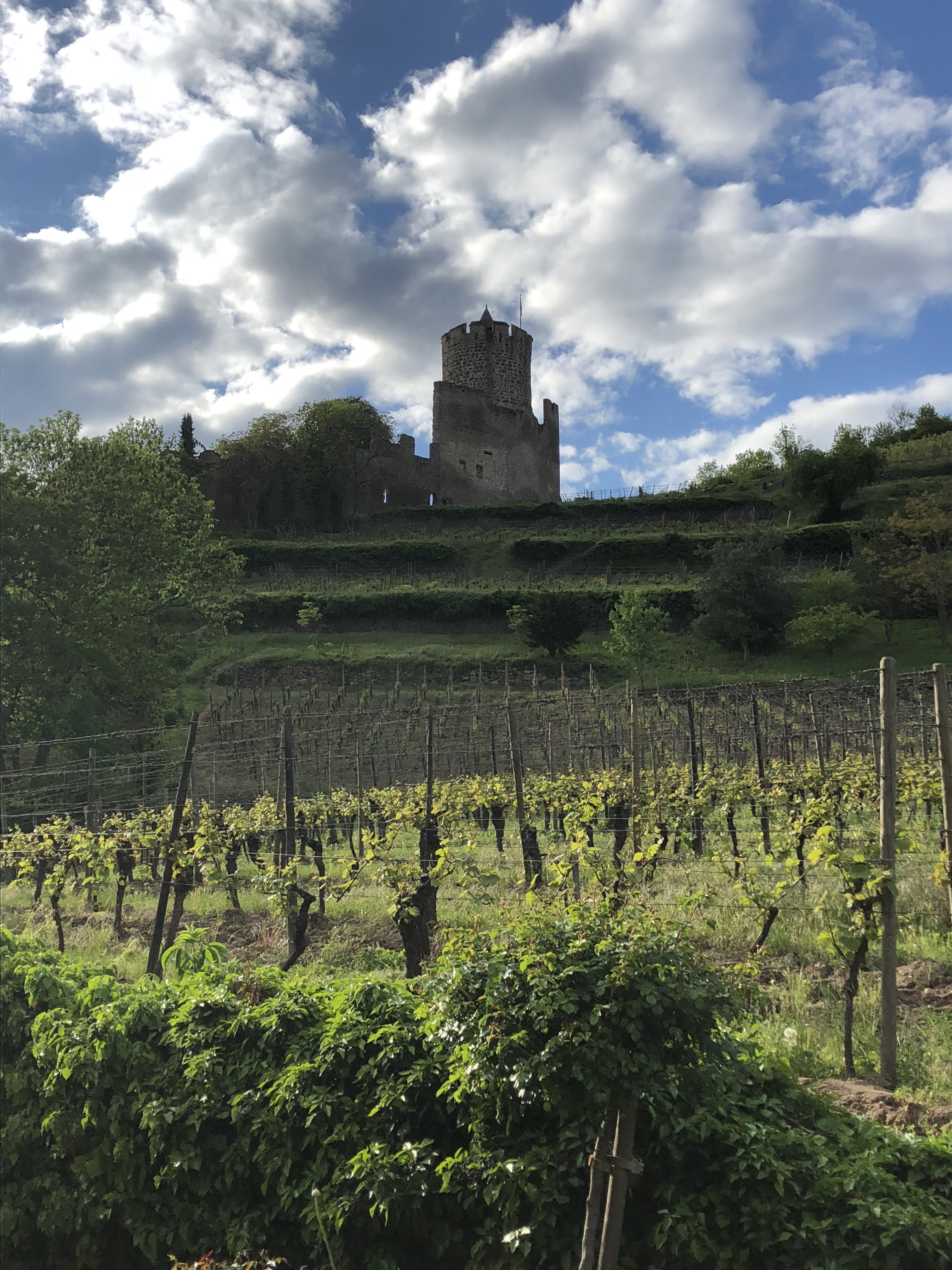 Photo n° 10 de l'avis de JMC. fait le 06/05/2018 à 11:14