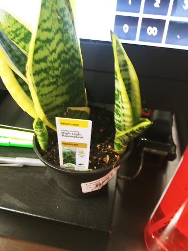 Home Improvement Store «The Home Depot», reviews and photos, 1413 N Armistead Ave, Hampton, VA 23666, USA