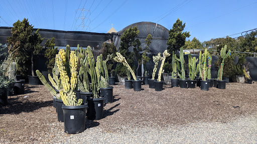 California Greenhouses - Los Angeles