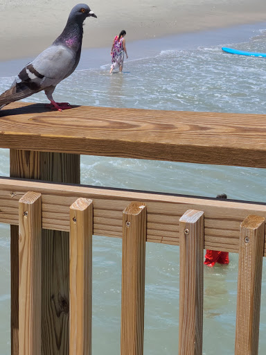 Fishing Pier «Springmaid Pier», reviews and photos, 3200 S Ocean Blvd, Myrtle Beach, SC 29577, USA