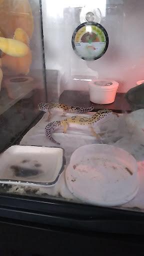 Pet Supply Store «PetSmart», reviews and photos, 12483 Limonite Ave, Mira Loma, CA 91752, USA