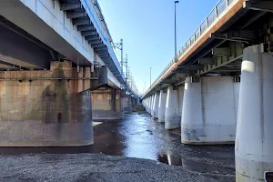 Futako Bridge image