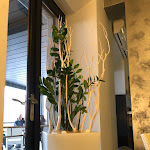 Photo n°9 de l'avis de sam.s fait le 03/04/2022 à 19:49 sur le  Bar Bomboniera à Maniago