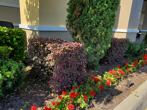 Supermarket «Publix Super Market Plaza Inverness», reviews and photos, 1012 W Main St, Inverness, FL 34450, USA