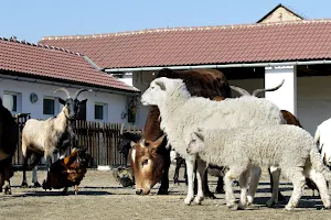 Zoo Park Vyškov image