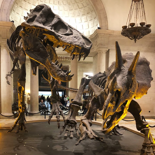 Natural History Museum of Los Angeles County (NHM)