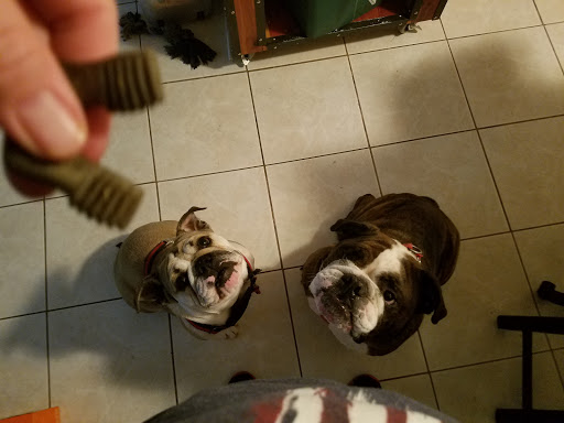 Pet Supply Store «Pet Supplies Plus», reviews and photos, 9143 Little Rd, New Port Richey, FL 34654, USA