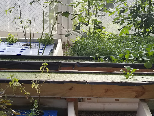 Association or Organization «Andrew & Walter Young Family YMCA», reviews and photos, 2220 Campbellton Rd SW, Atlanta, GA 30311, USA