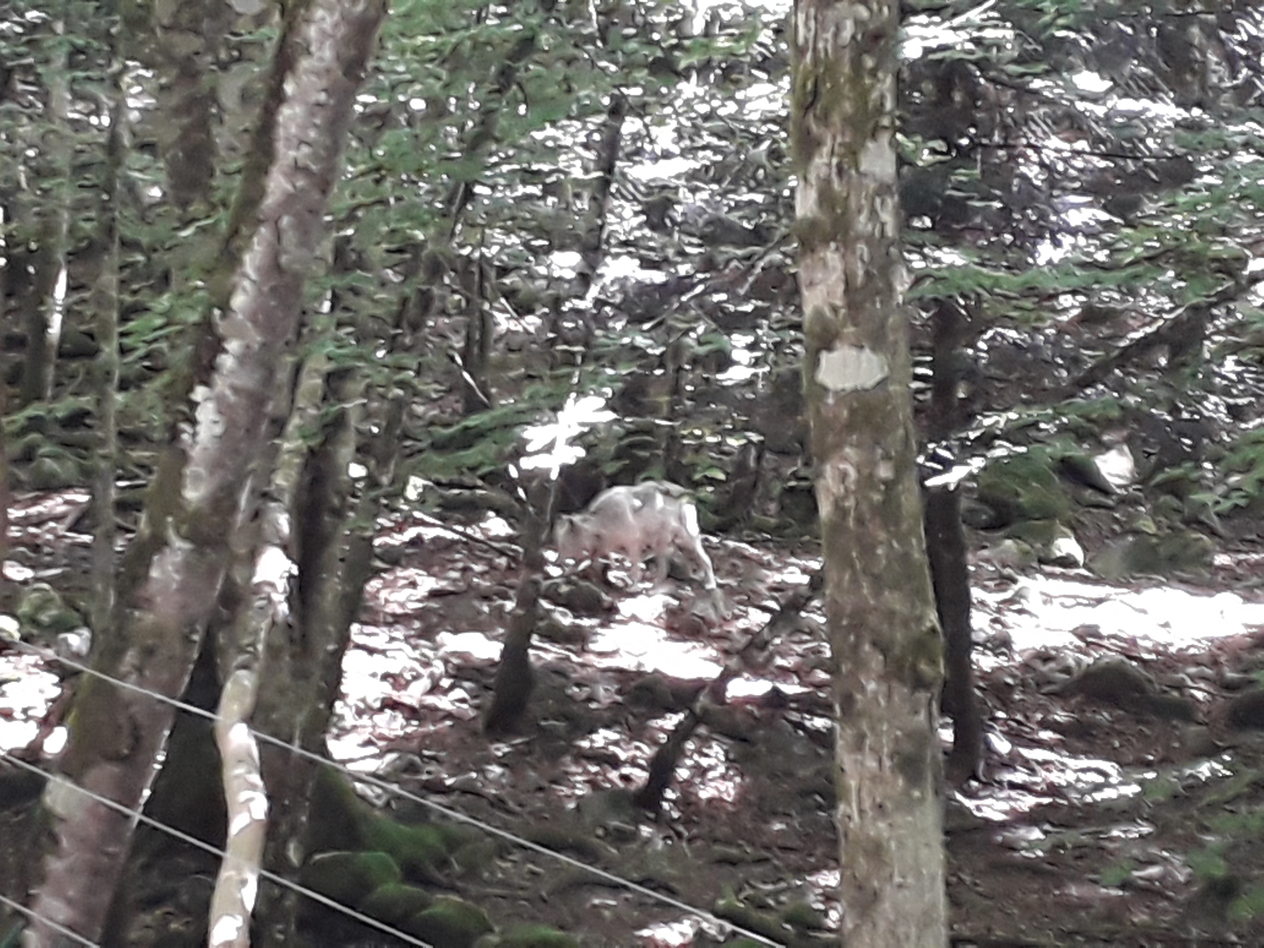 Photo n° 24 de l'avis de Franck.i fait le 19/07/2020 à 15:45