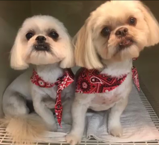 Pet Groomer «ITIG Happy Dog Wash», reviews and photos, 6465 S Chickasaw Trail, Orlando, FL 32829, USA